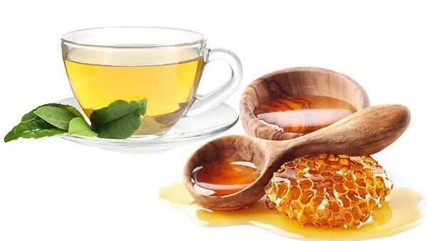 Frequently asked questions about camellia sinensis