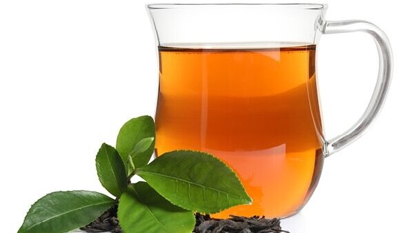 Frequently asked questions about camellia sinensis