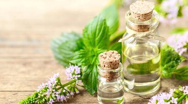 Benefits Of Peppermint Oil For Skin, Hair And Health