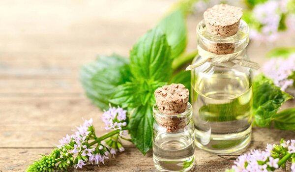 Benefits Of Peppermint Oil For Skin, Hair And Health