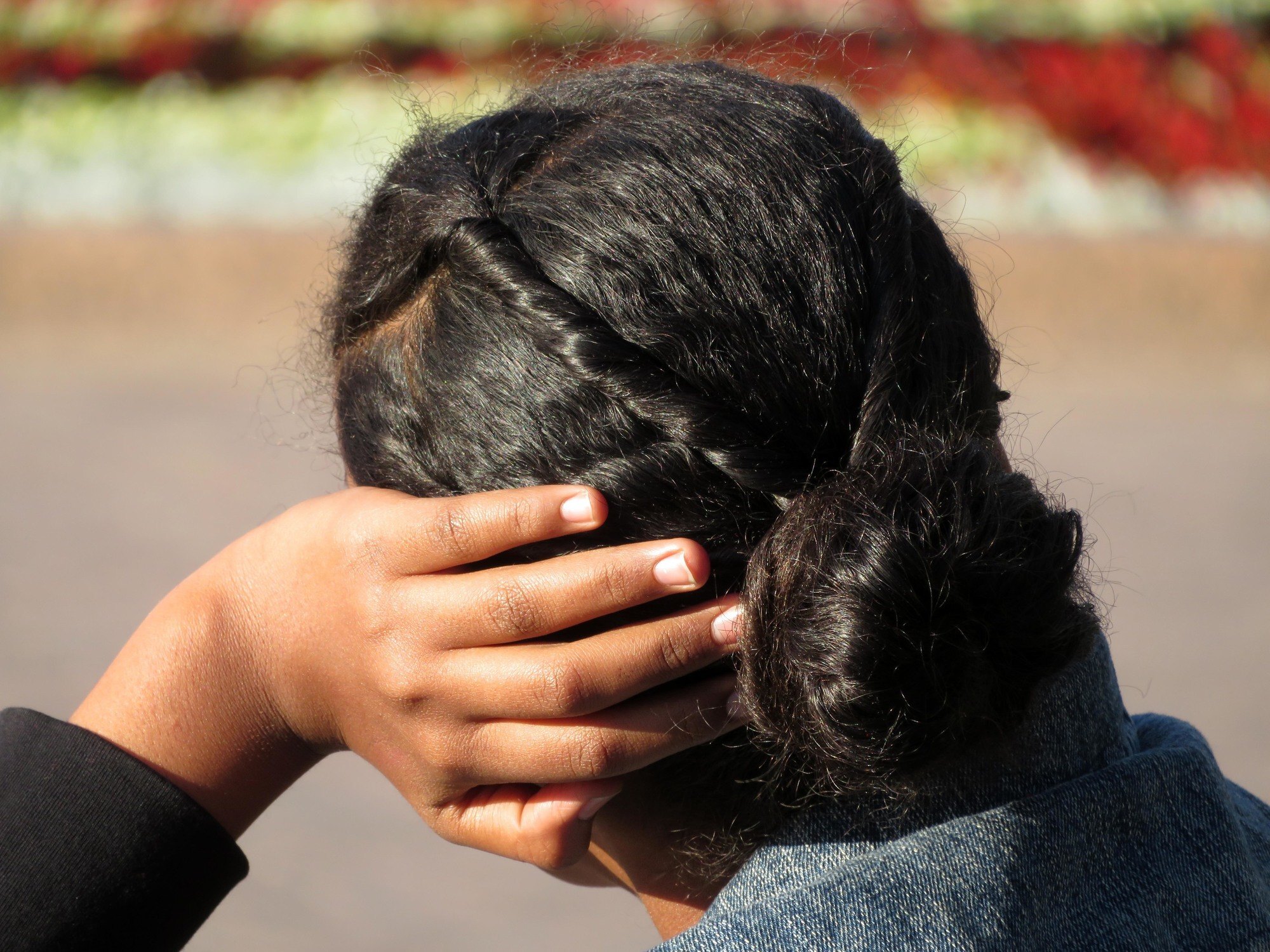 hair growth cycle: image of the back of a protective hairstyle; a twist that begins at the front hairline and is incorporated into a neat low bun