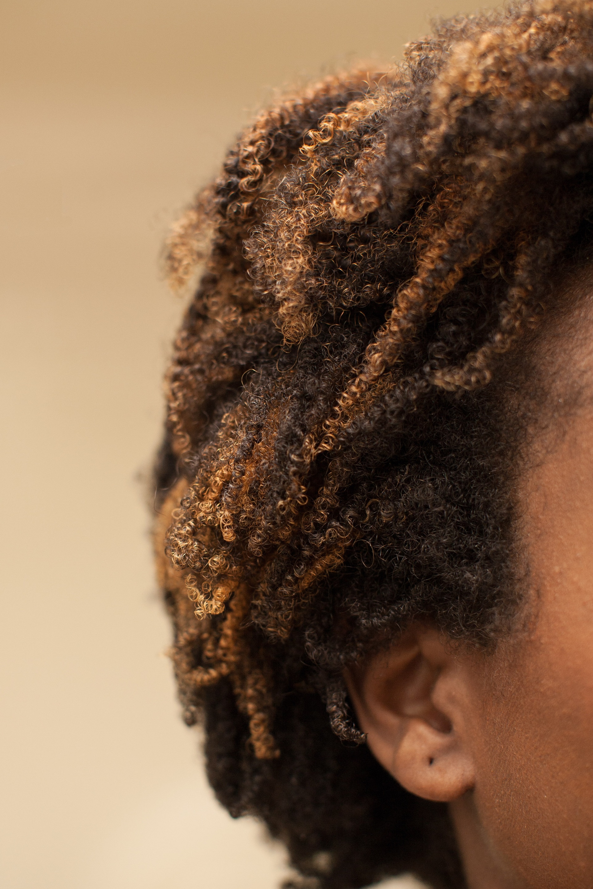short natural hair tight curls highlights
