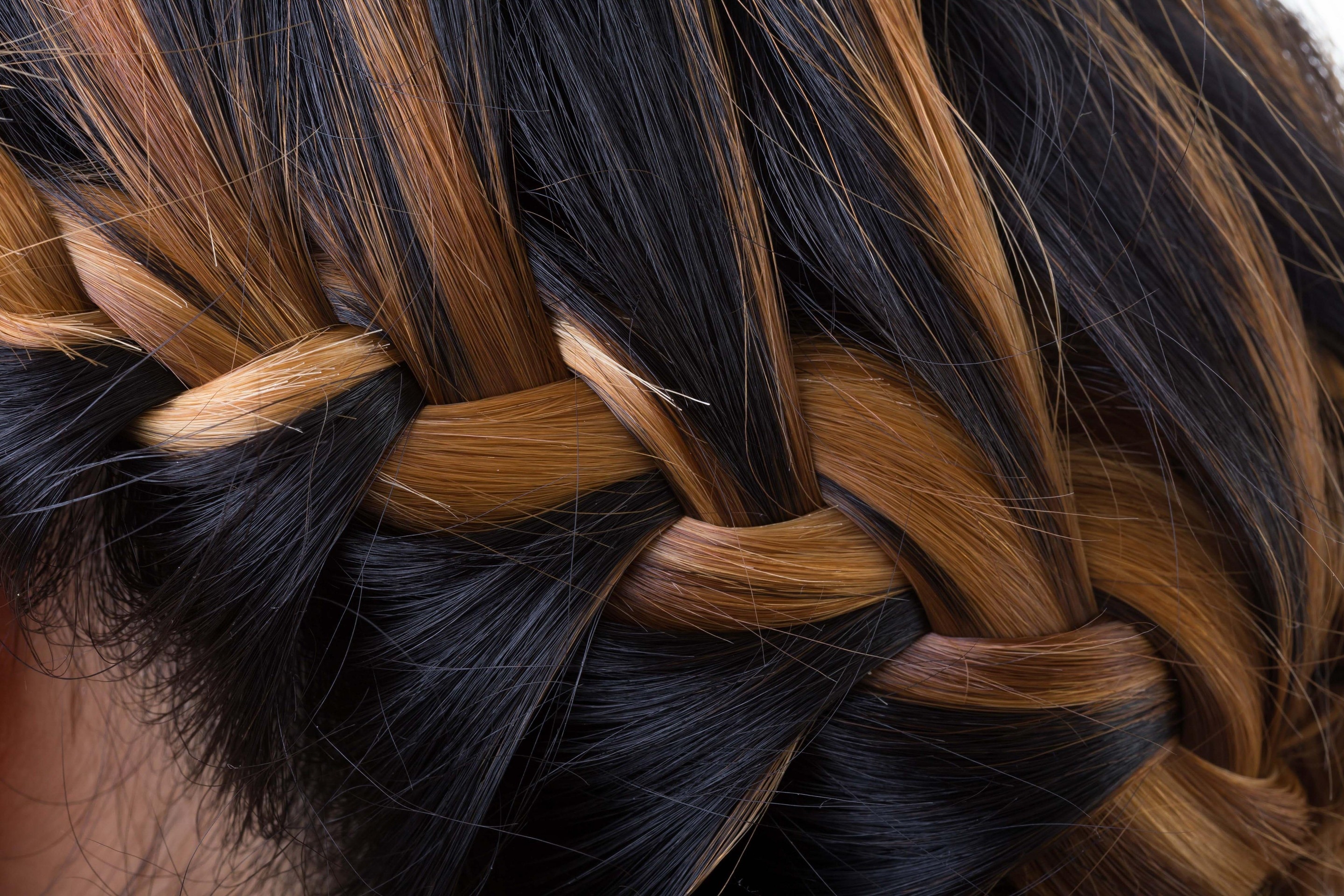 closeup braid balck and chestnut coloured hair