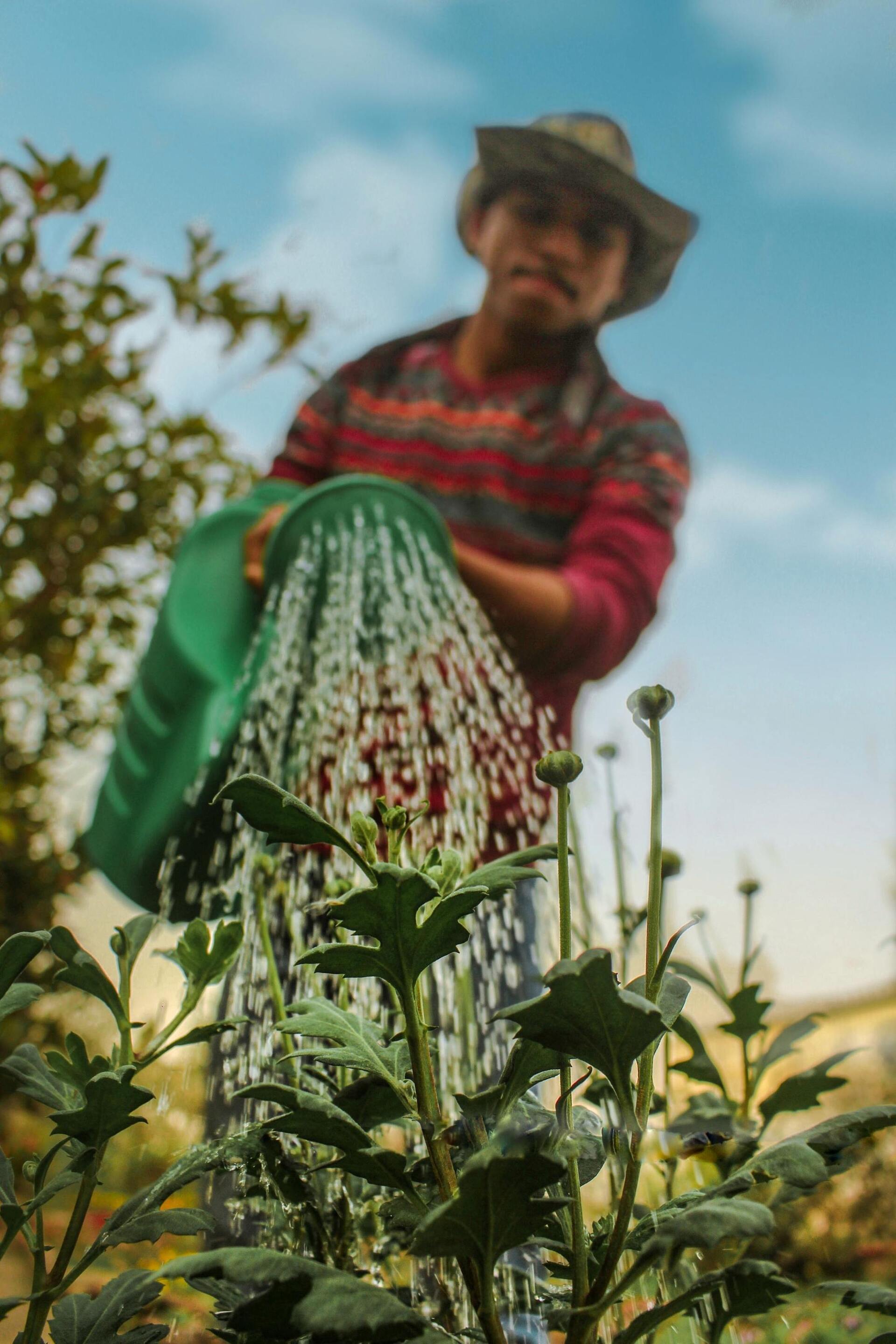 earth day: image of a man watering plants