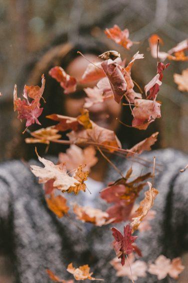 Cover photo autumn unsplash