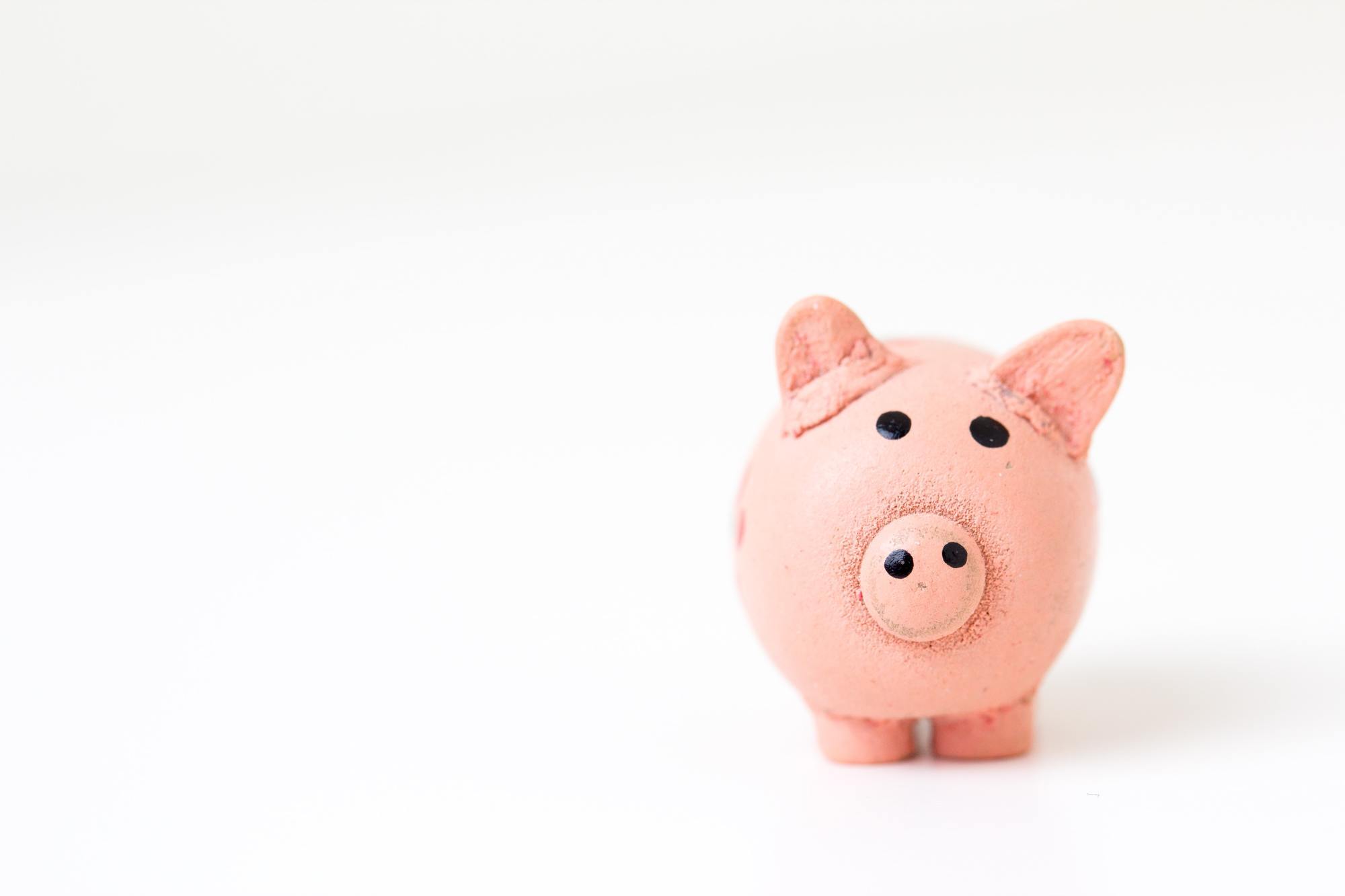 Know your budget piggy bank