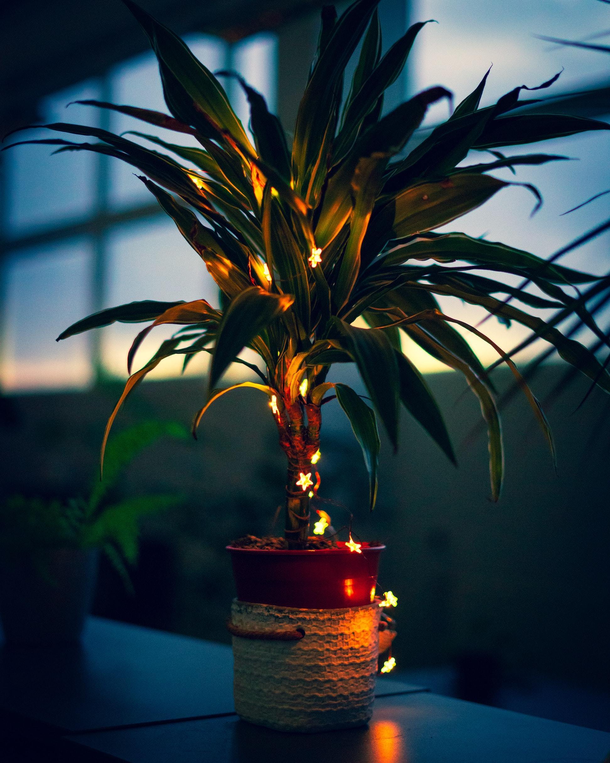 Holiday indoors: Decorate your home