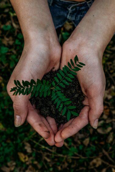 Earth-friendly products