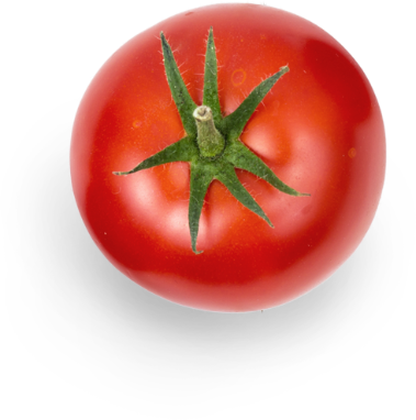 tomato.png