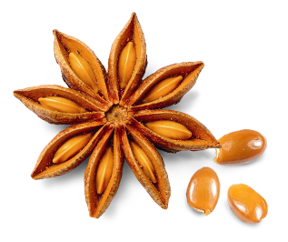star-anise.png