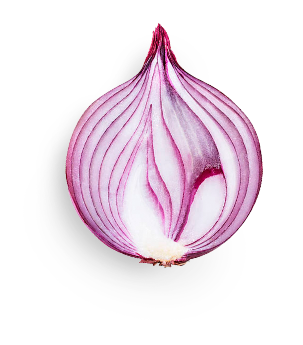 Purple Onion