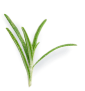 Small Plant