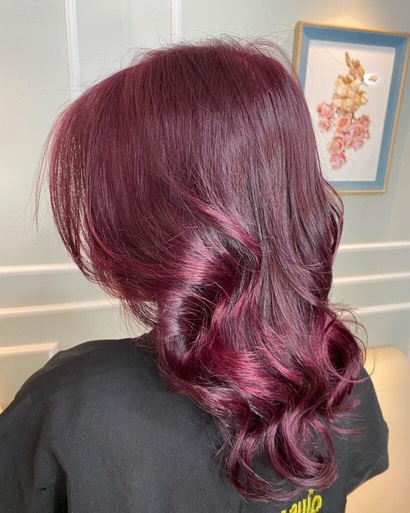 cabelo moderno acaju purpura