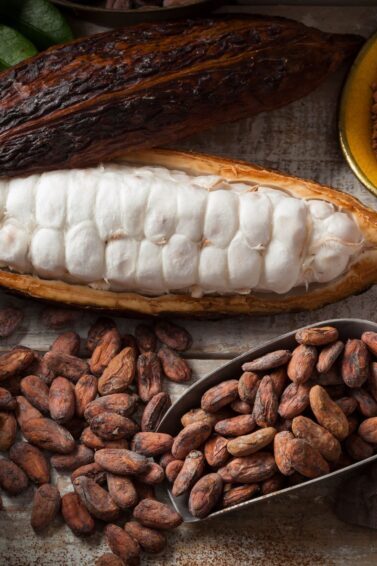cacau na fruta, em pó e torrado