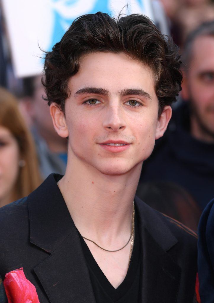 ator timotheé chalamet com cabelo ondulado dividido ao meio