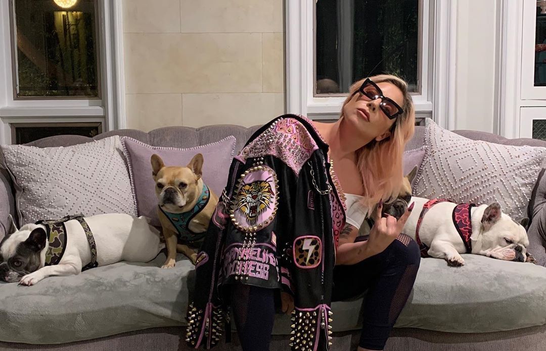 mulher com cachorros e cabelo solto
