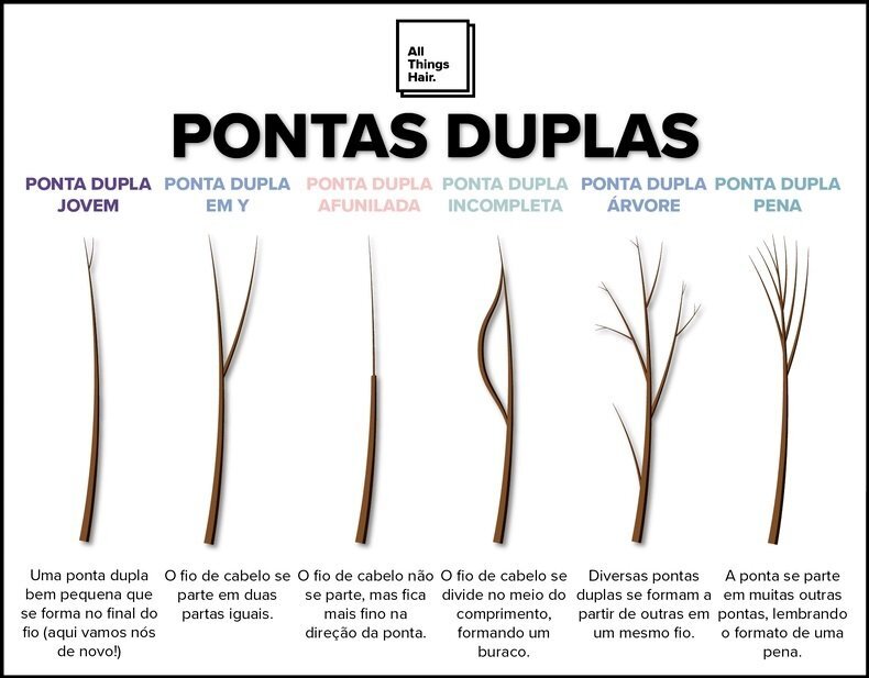 infográfico com tipos de pontas duplas
