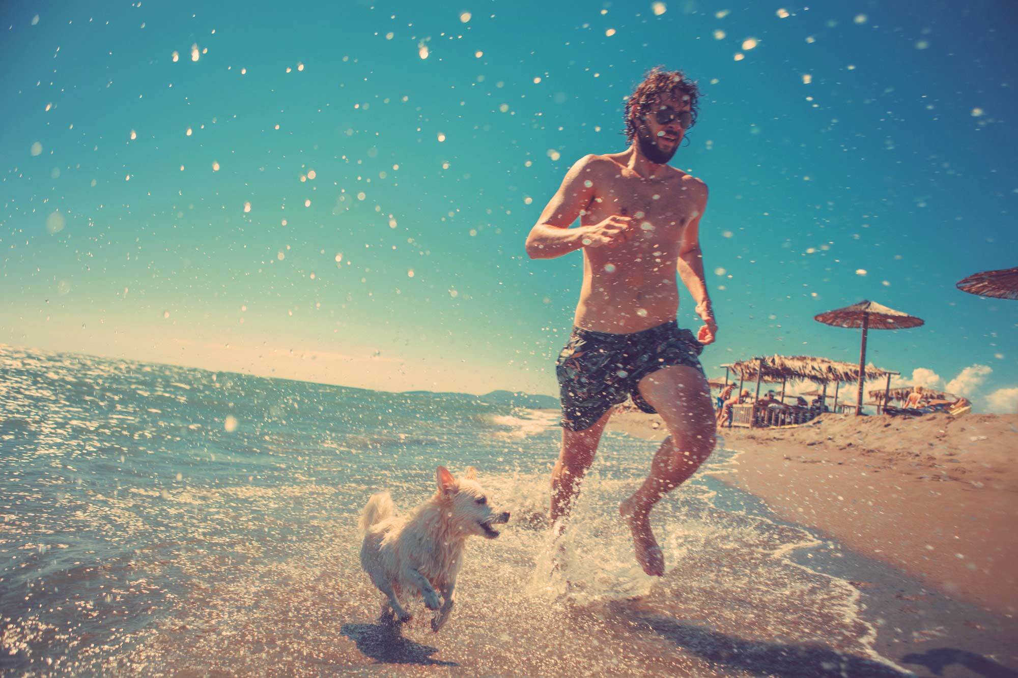 Homem e cachorro na praia ilustram matéria sobre cuidado com o cabelo masculino na praia