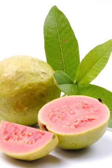 imagem de goiaba com folhas