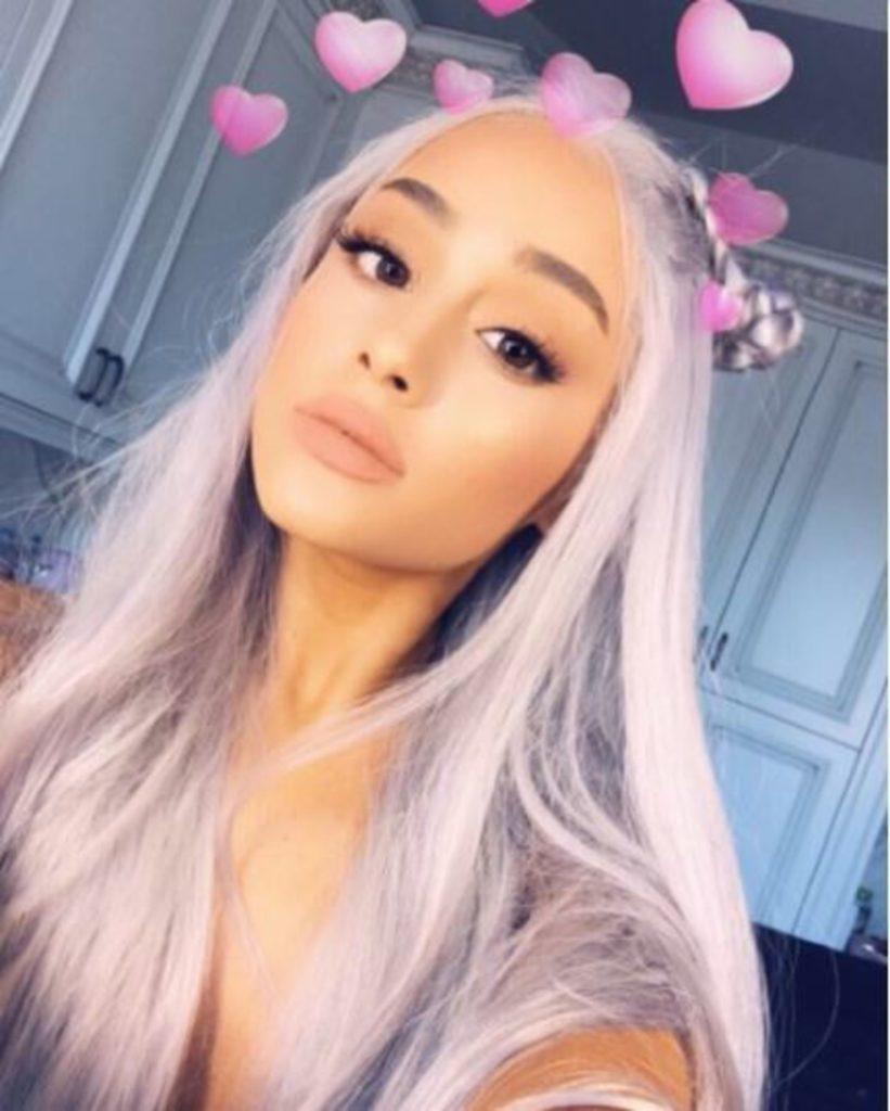 modelo de famosas com cabelo cinza
