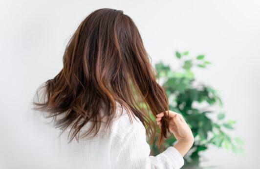 Saiba como hidratar cabelos ressecados e quebradiços