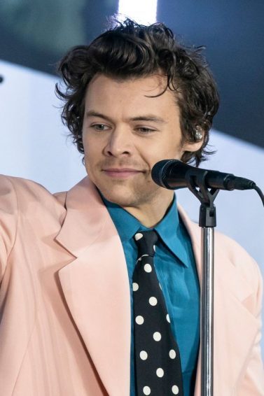 harry styles com cabelo curto ondulado