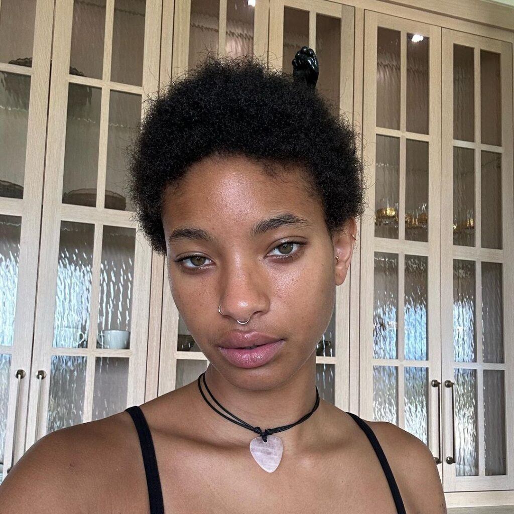 selfie de willow smith com cabelos curtos