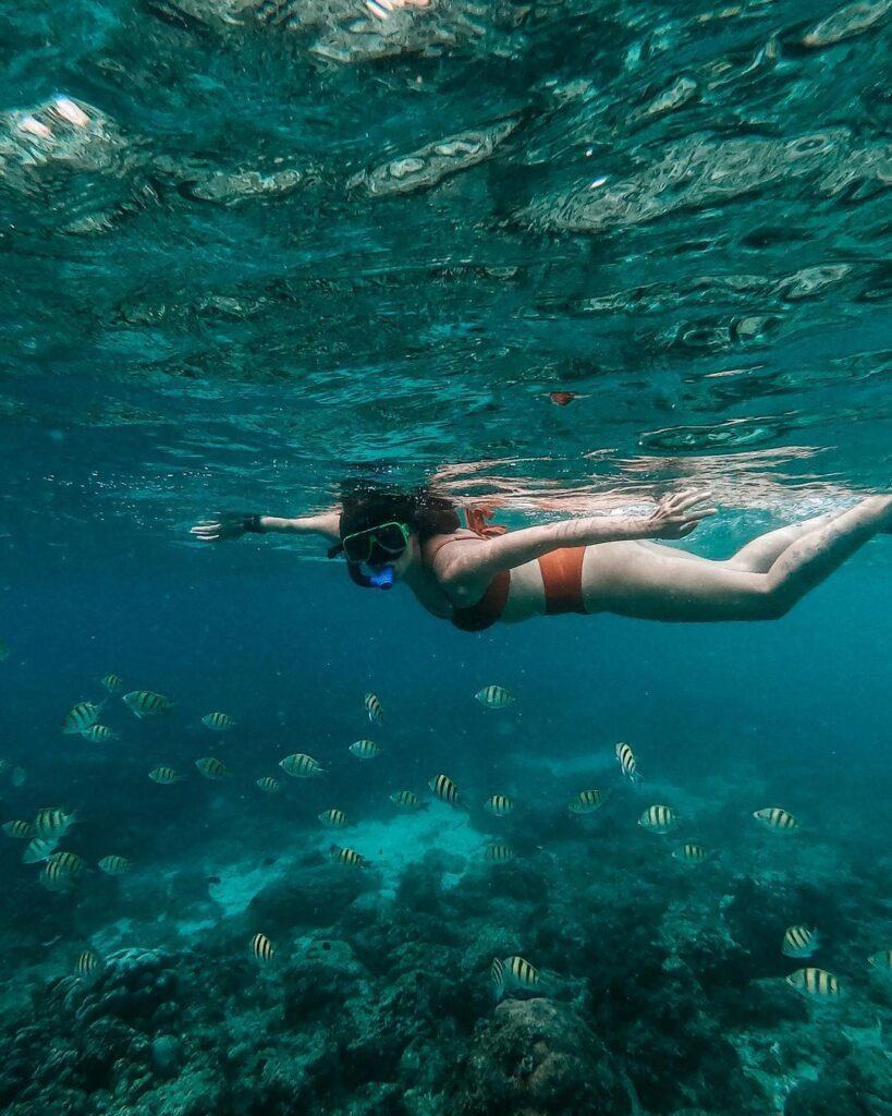 mulher mergulhando com peixes no mar