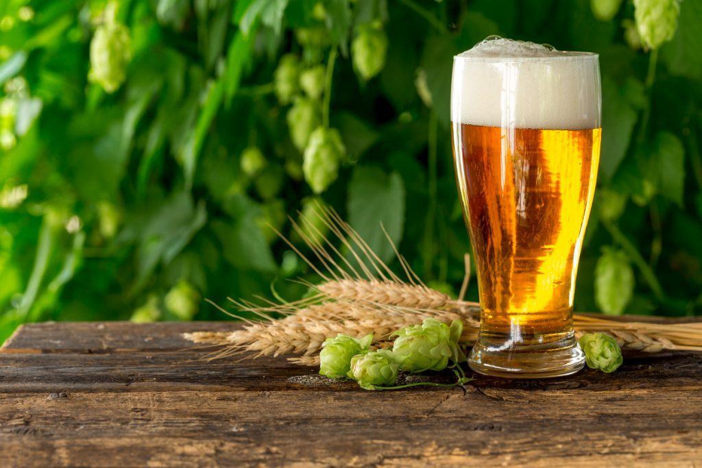 copo de cerveja