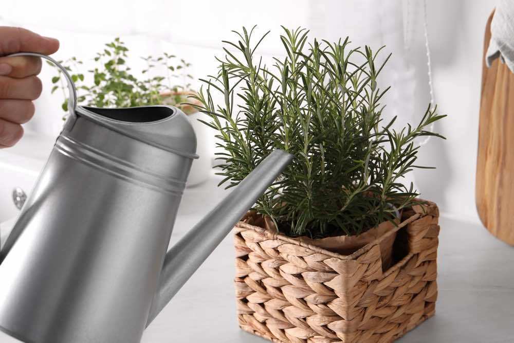 香りの種類を一覧でチェック！おすすめシーンや手軽に使えるフレグランスを紹介