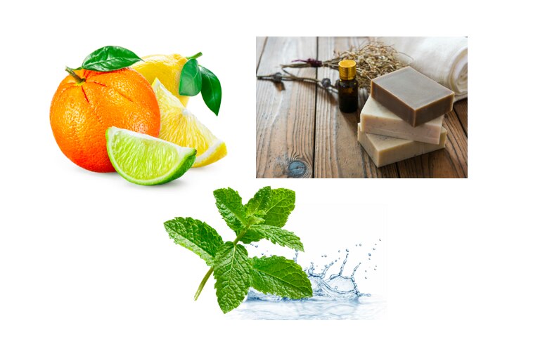 AXEからフレグランスボディミストが新発売！人気の香りでリフレッシュしよう