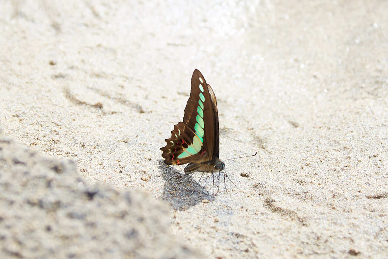 【FIND YOUR MAGIC #4 後編】佐藤 魁にインタビュー