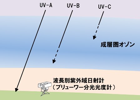 【医師監修】メンズも日焼け後にはアフターケアを！後で後悔しないケアのポイントを紹介
