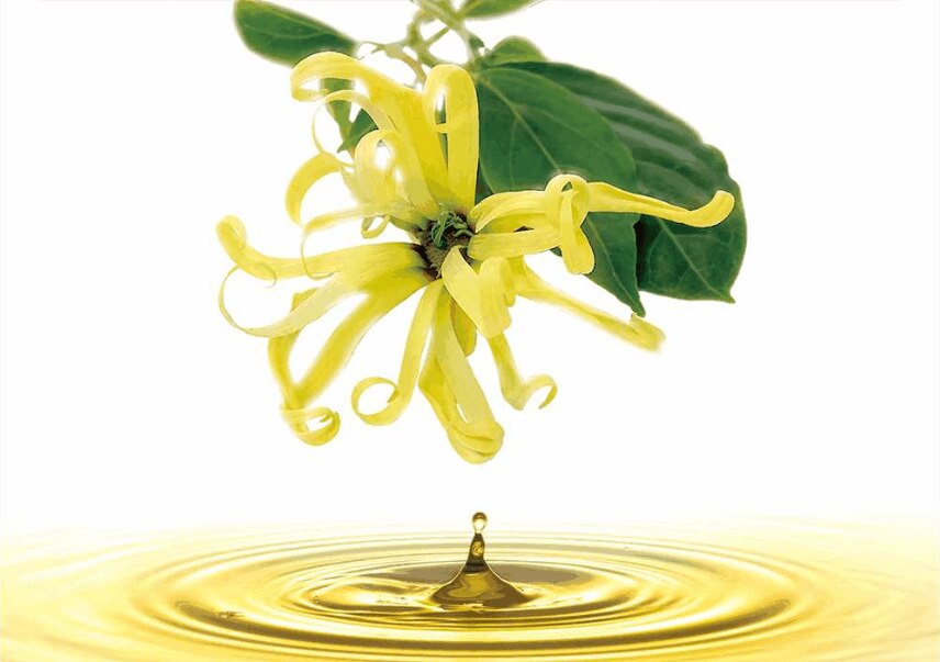 AXEと一緒に旅に出よう！世界の都市を旅するシティトラベルキャンペーンを開催！