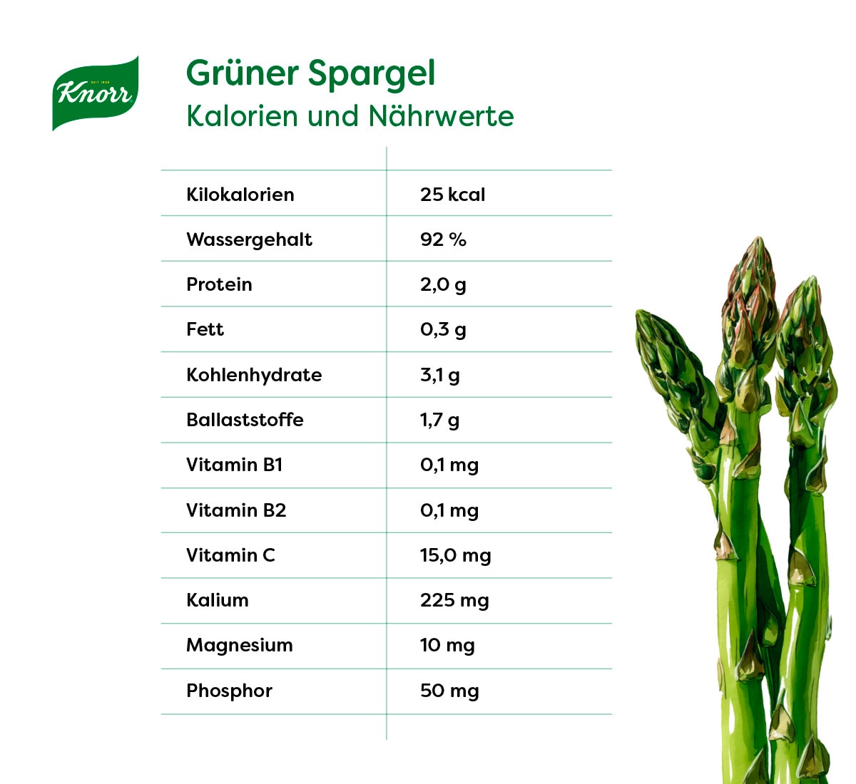 Grüner Spargel Kalorien und Nährwerte