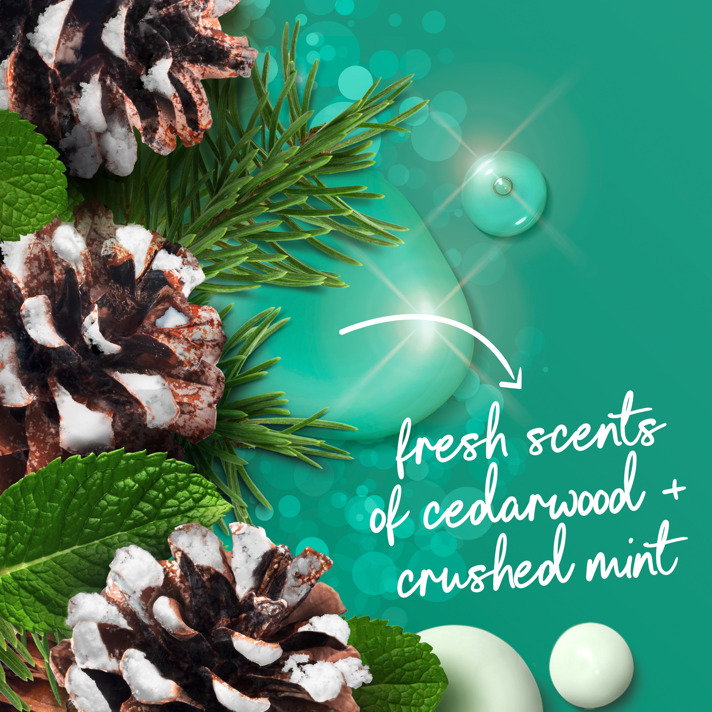 Cedarwood & Crushed Mint Body Wash