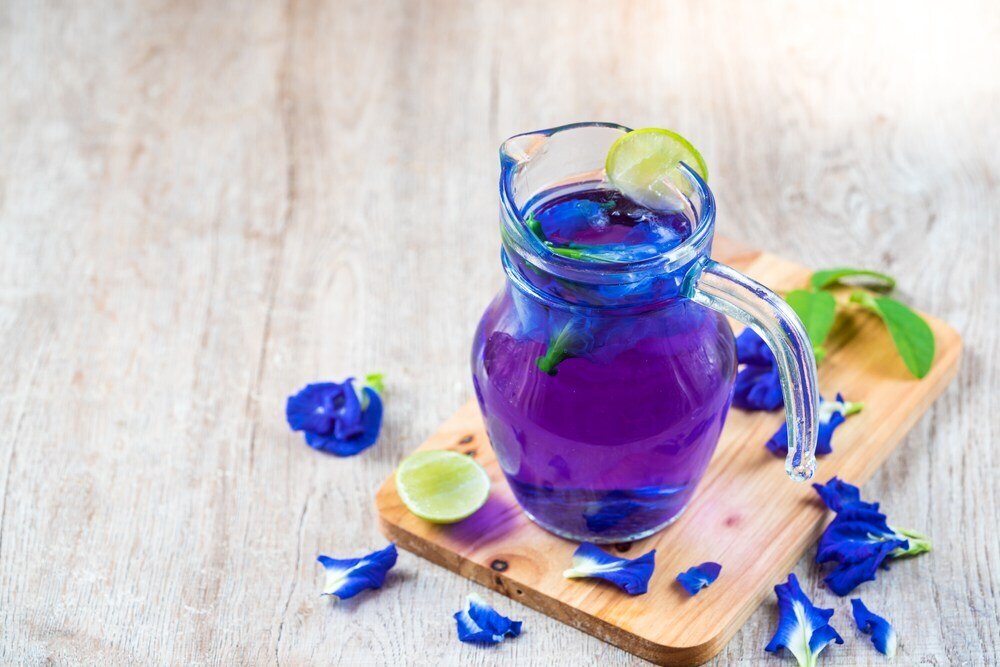 8 Minuman Teh Untuk Jaga Stamina Selama Nonton Konser