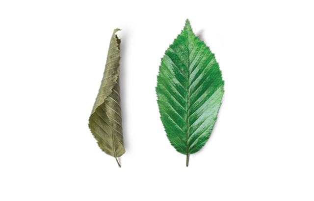 mv_p_03.png?d=140821