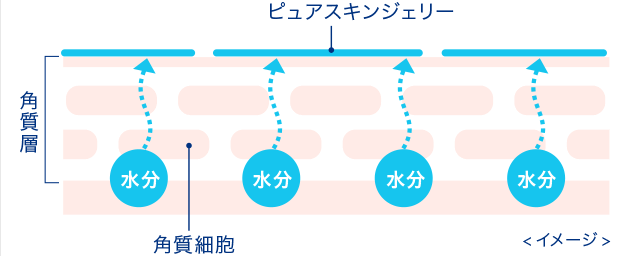 index_p_02.png