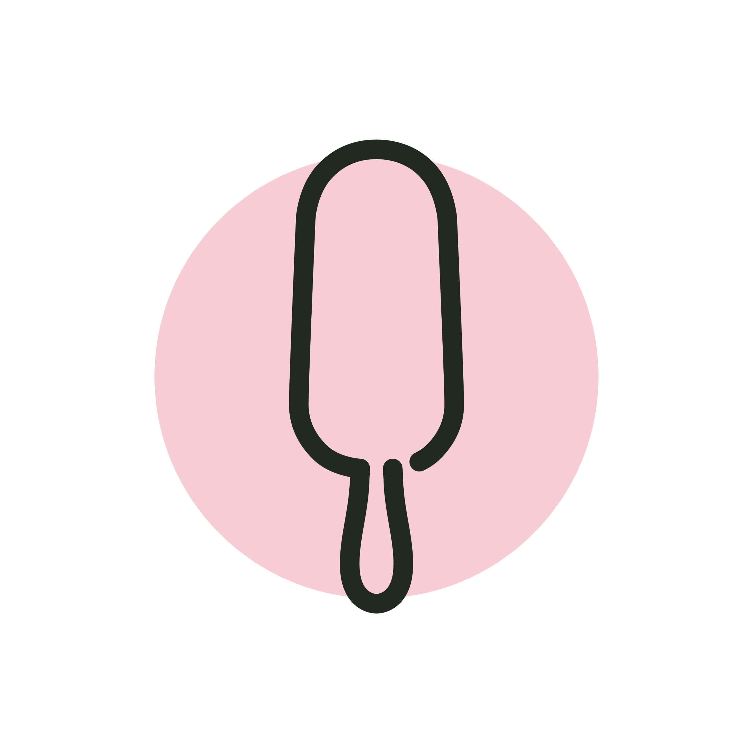 Simple line illustration of an ice cream popsicle inside a pink circle.