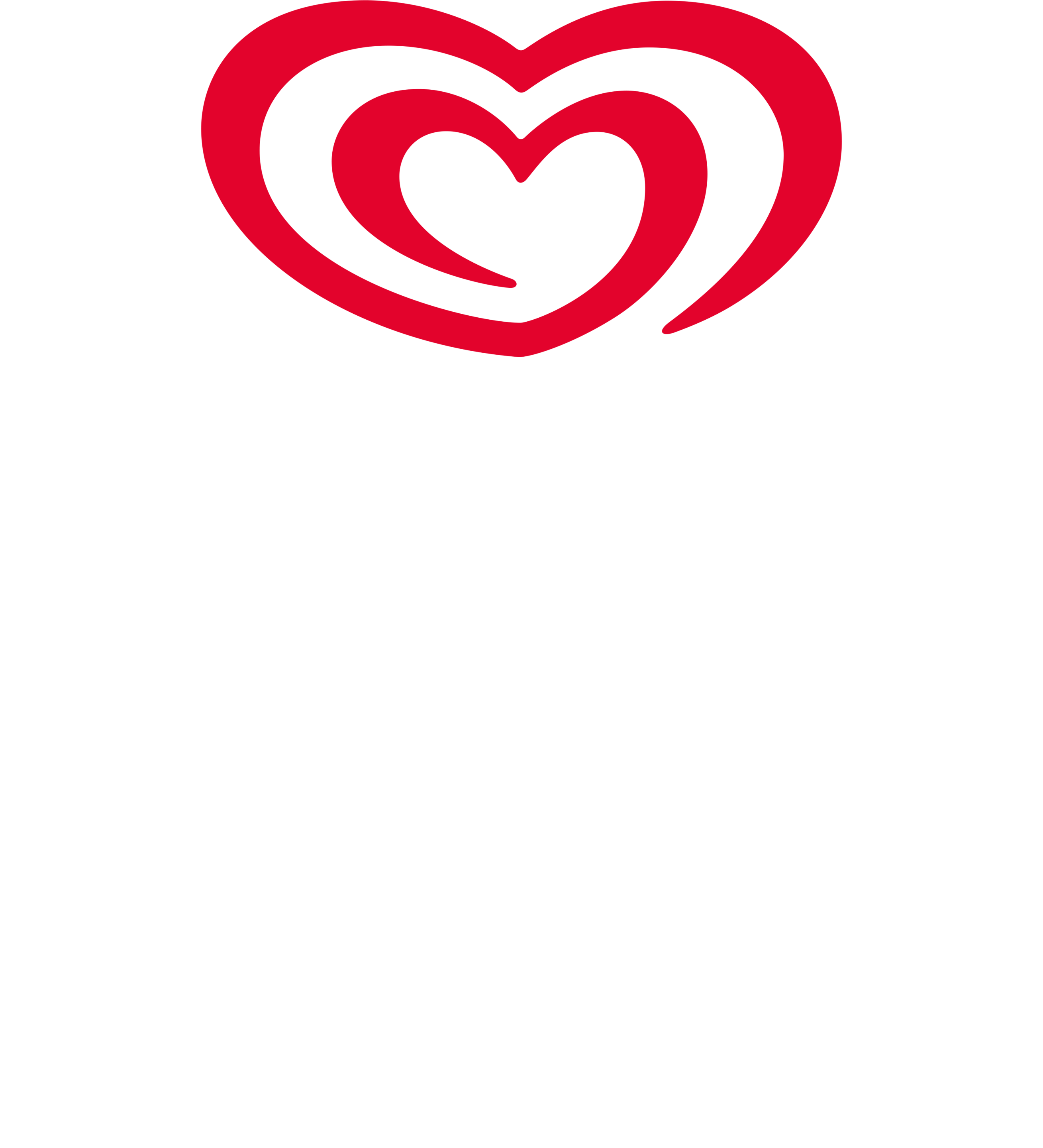 The Magnum Ice Cream Company
