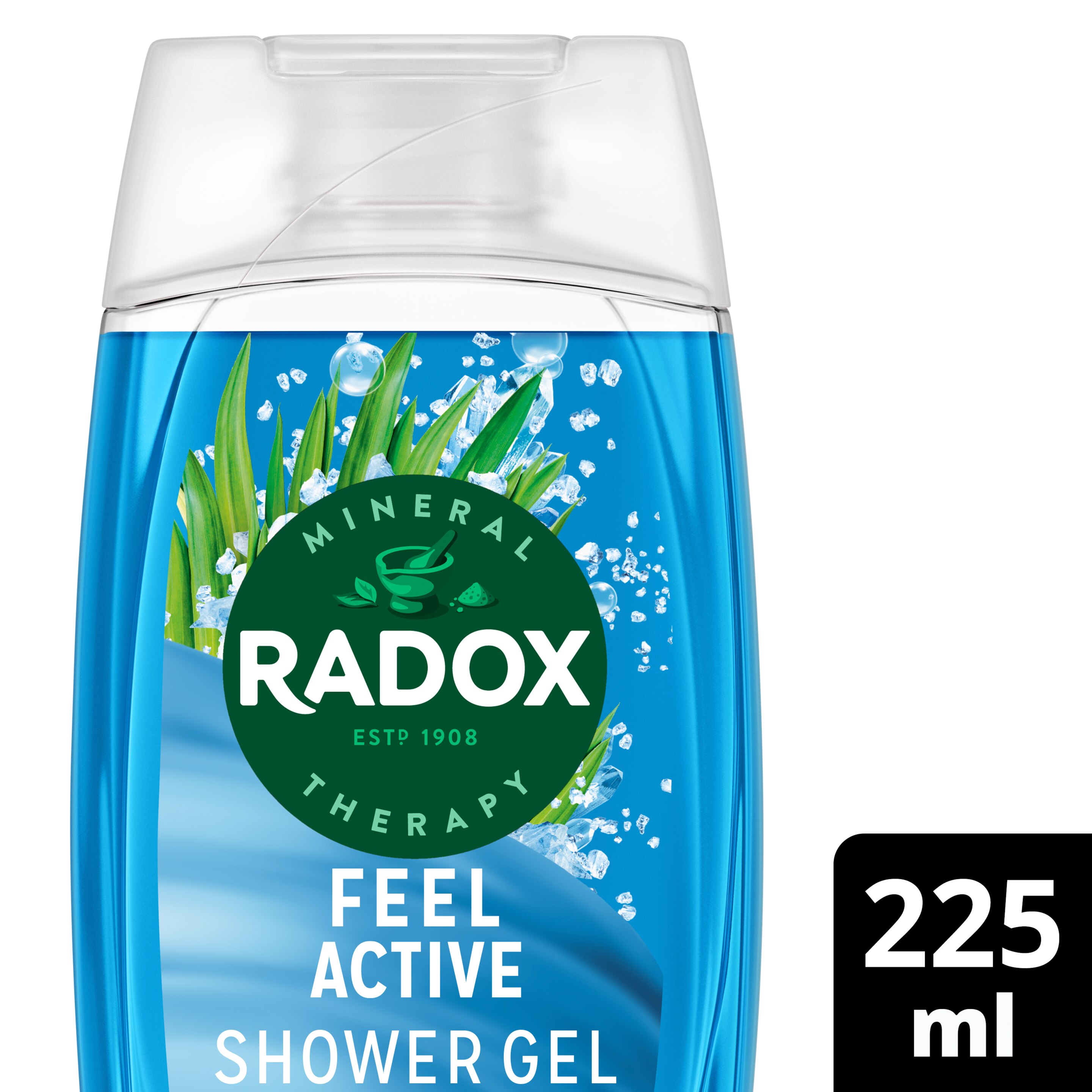 Radox Feel Active Shower Gel 225ml with Sea Salt & Lemongrass