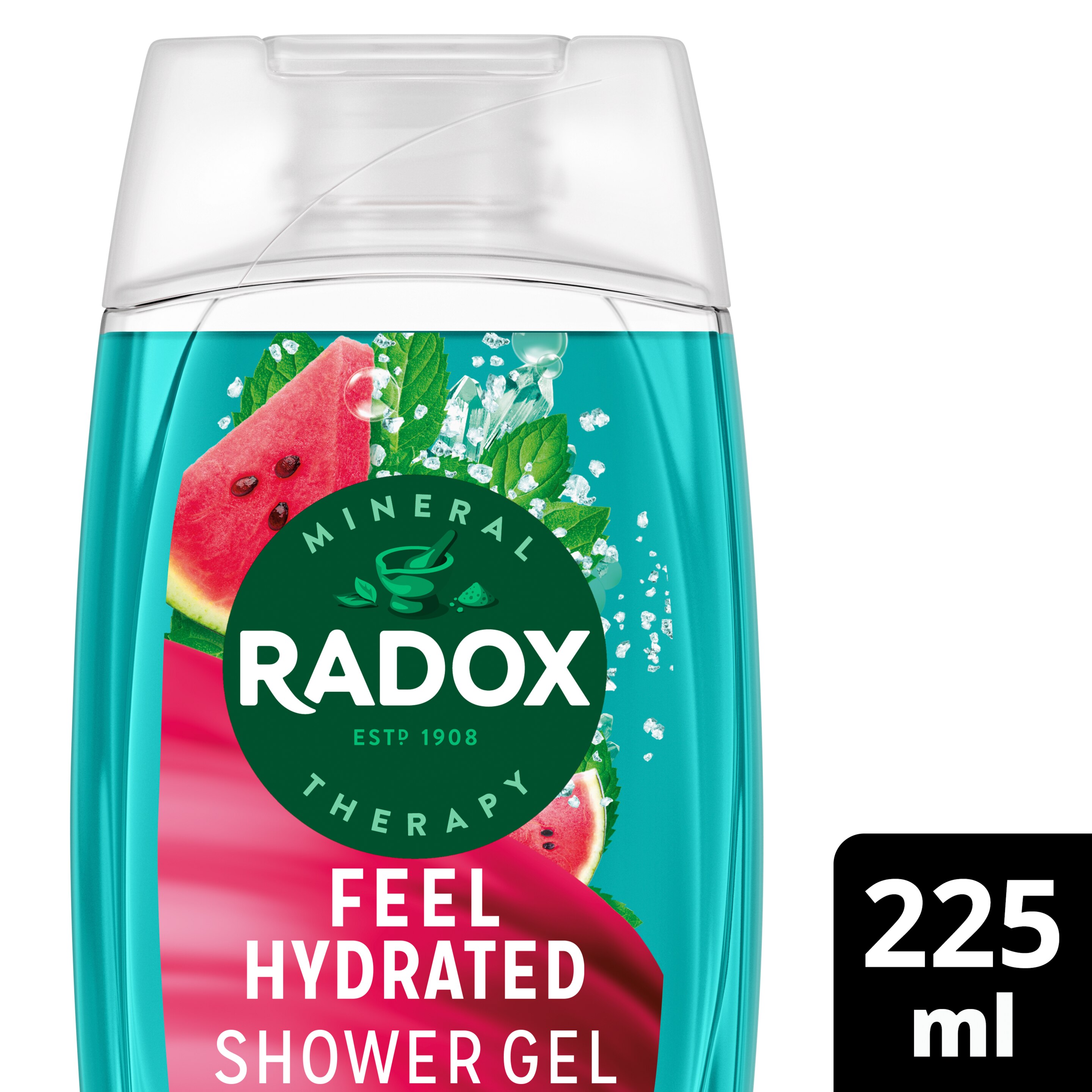 Radox Feel Hydrated Shower Gel 225ml with Watermelon & Mint