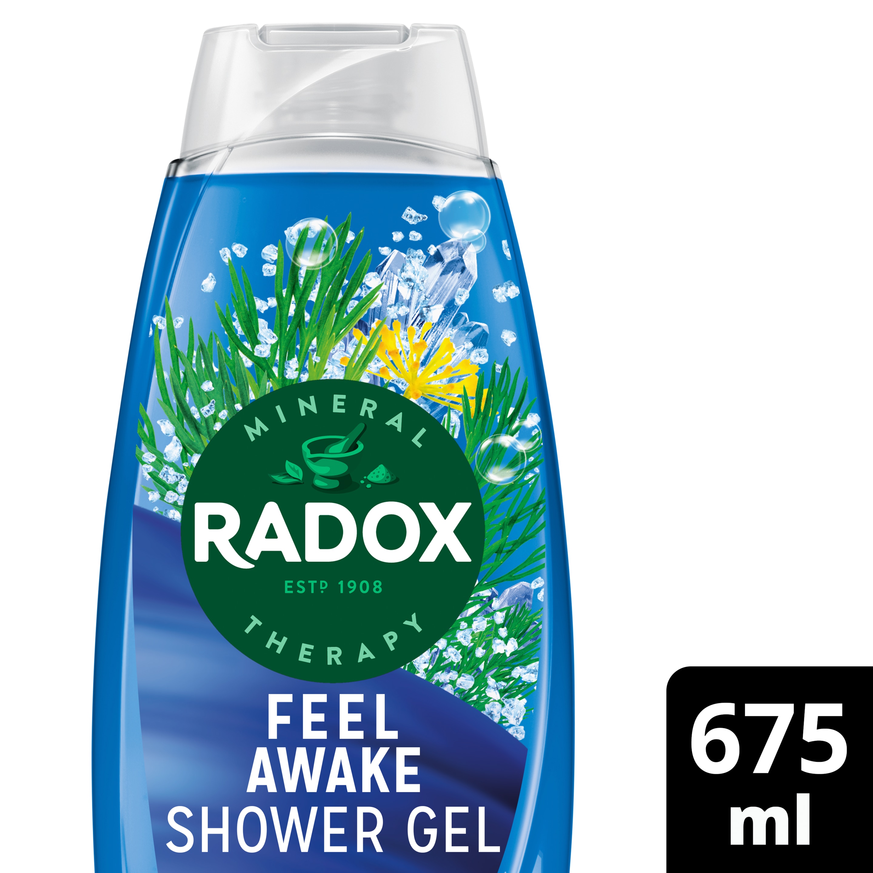 Radox Feel Awake 2-in-1 Shower Gel 225ml with Sea Minerals & Fennel