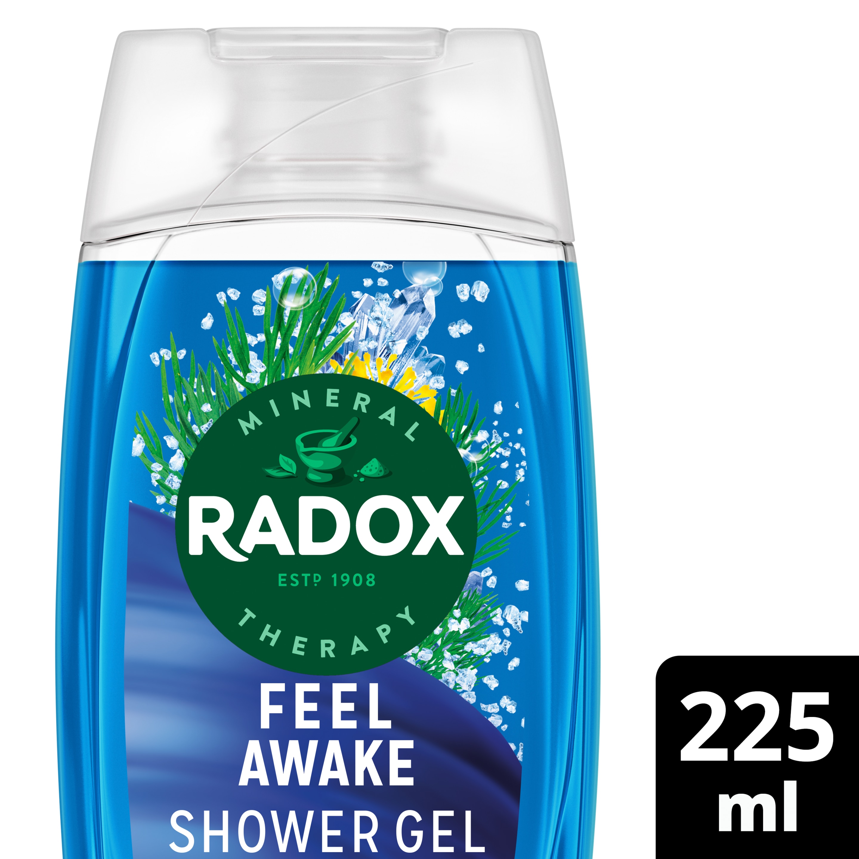 Radox Feel Awake 2-in-1 Shower Gel 225ml with Sea Minerals & Fennel