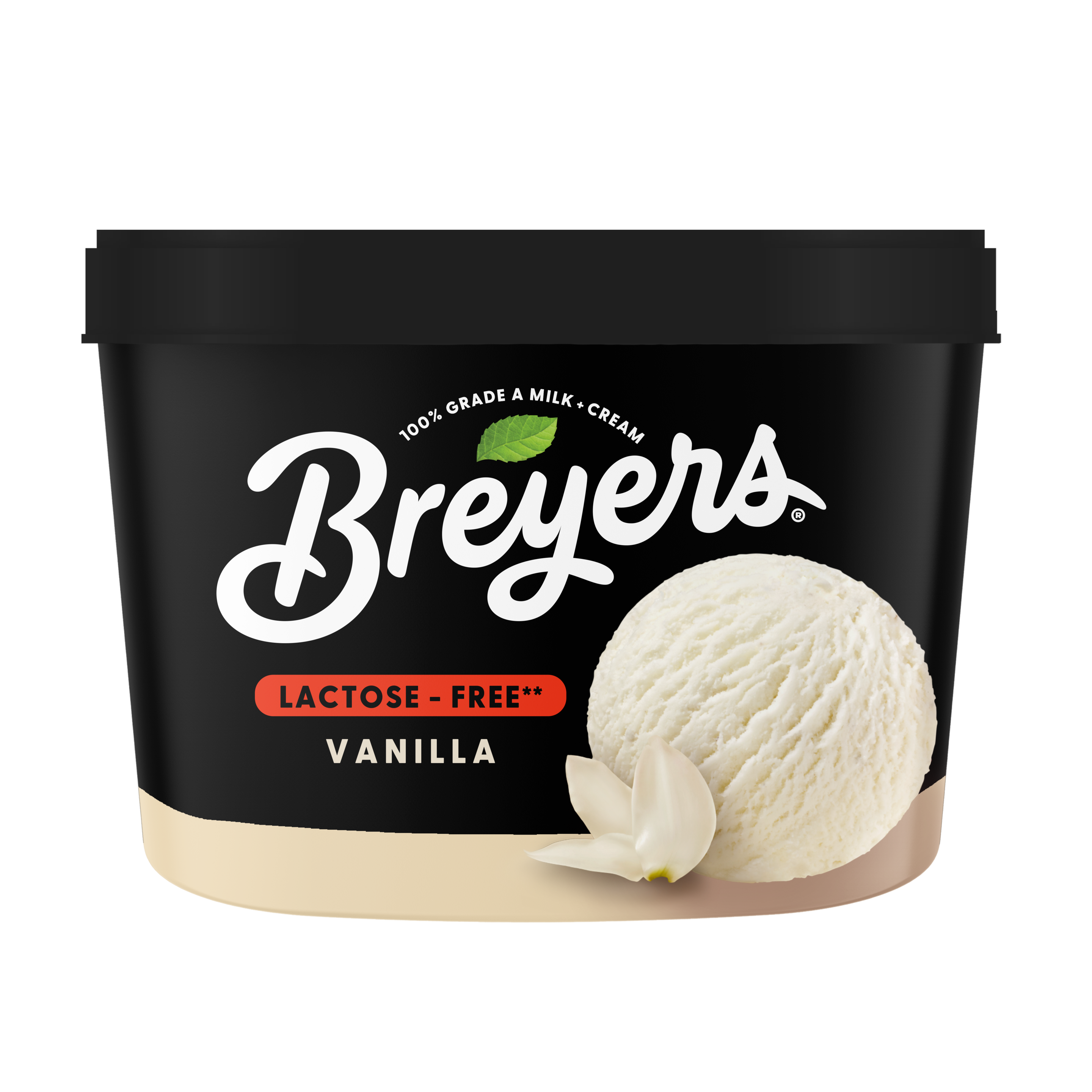 A 48 ounce tub of Breyers® Lactose Free Vanilla simple pack image packshot