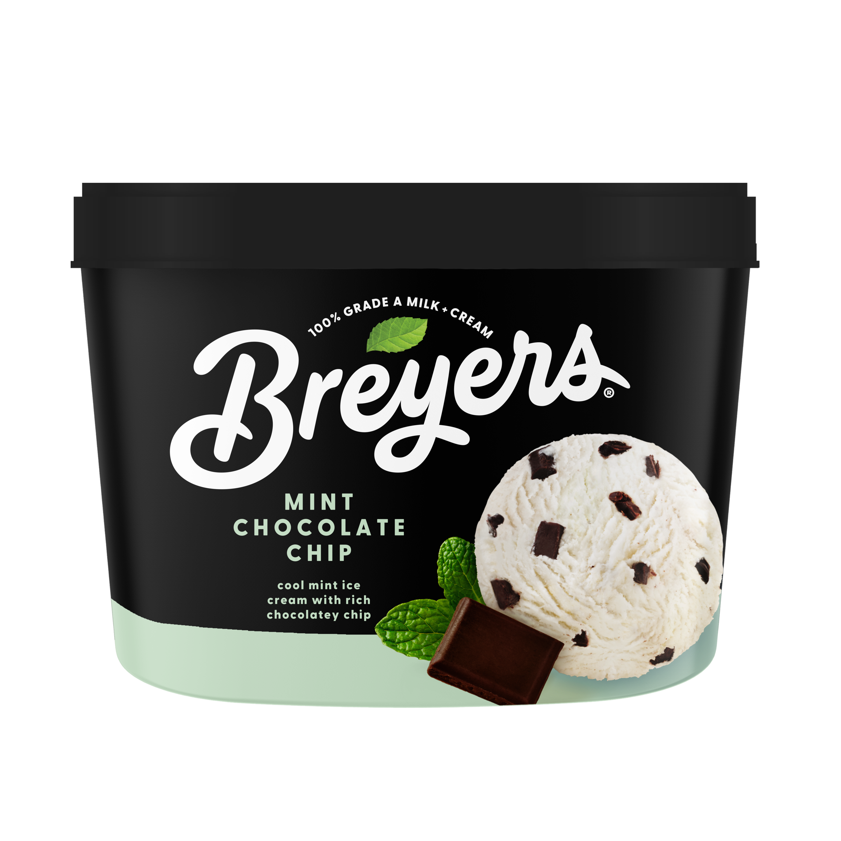 A 48 ounce tub of Breyers® Mint Chocolate Chip simple pack image packshot