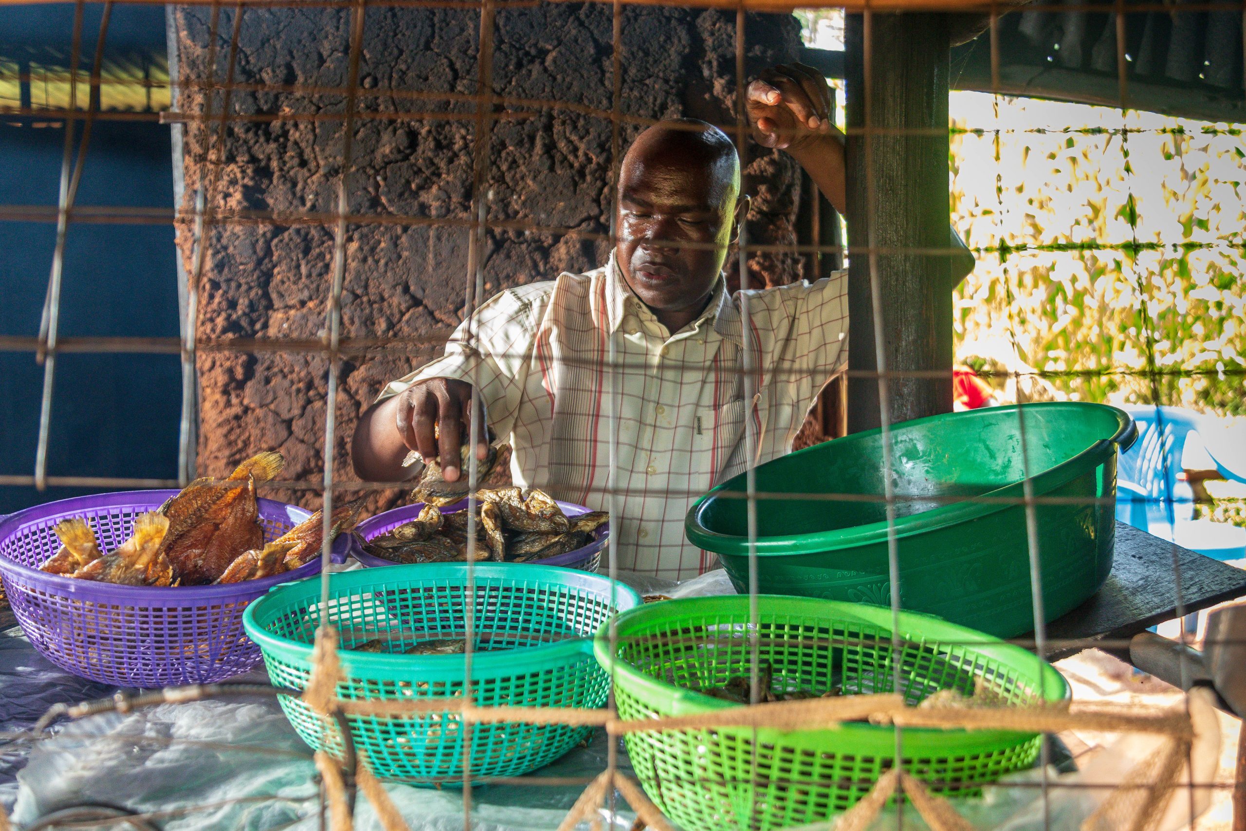 Image for Caleb-9-scaled.jpg