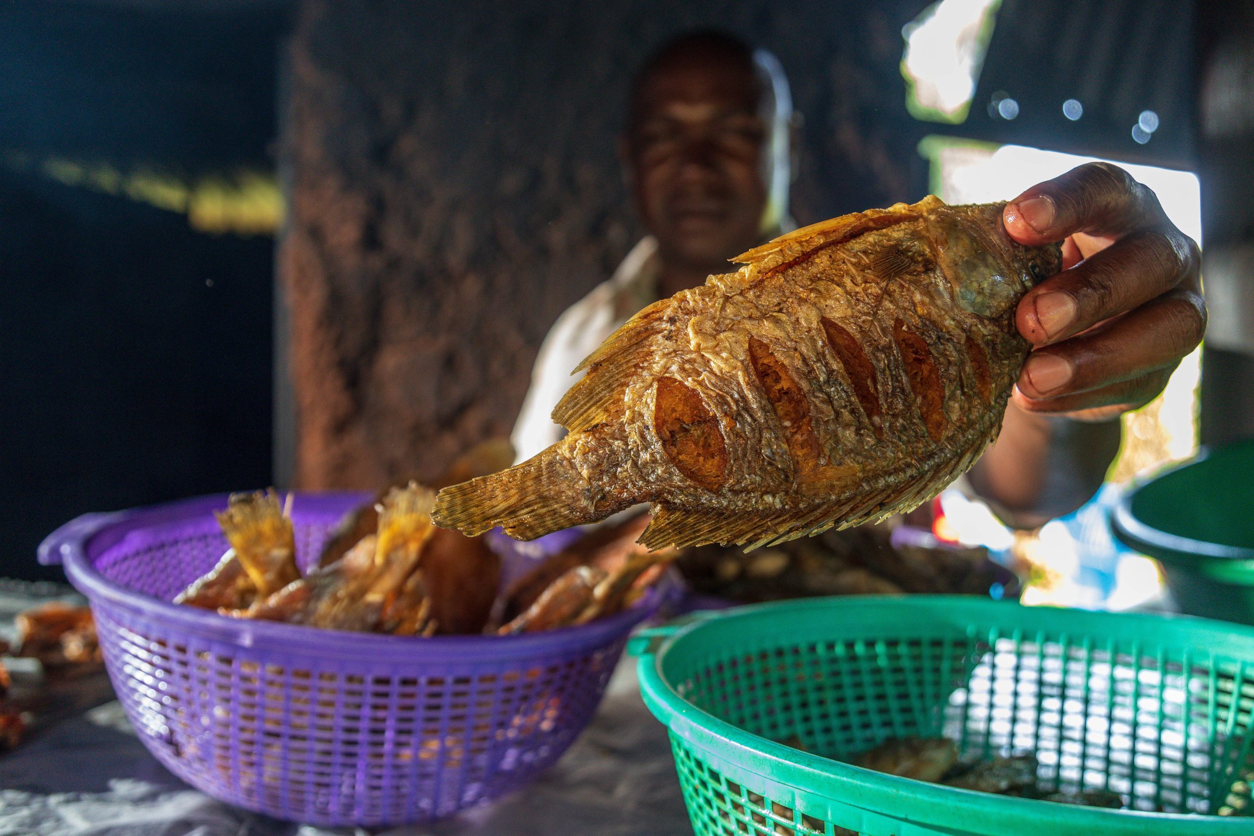 Image for Caleb-10-scaled.jpg