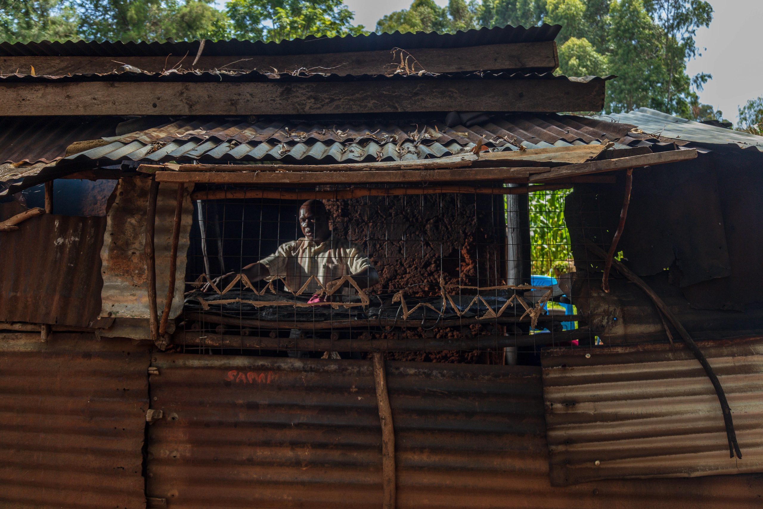 Image for Caleb-8-scaled.jpg